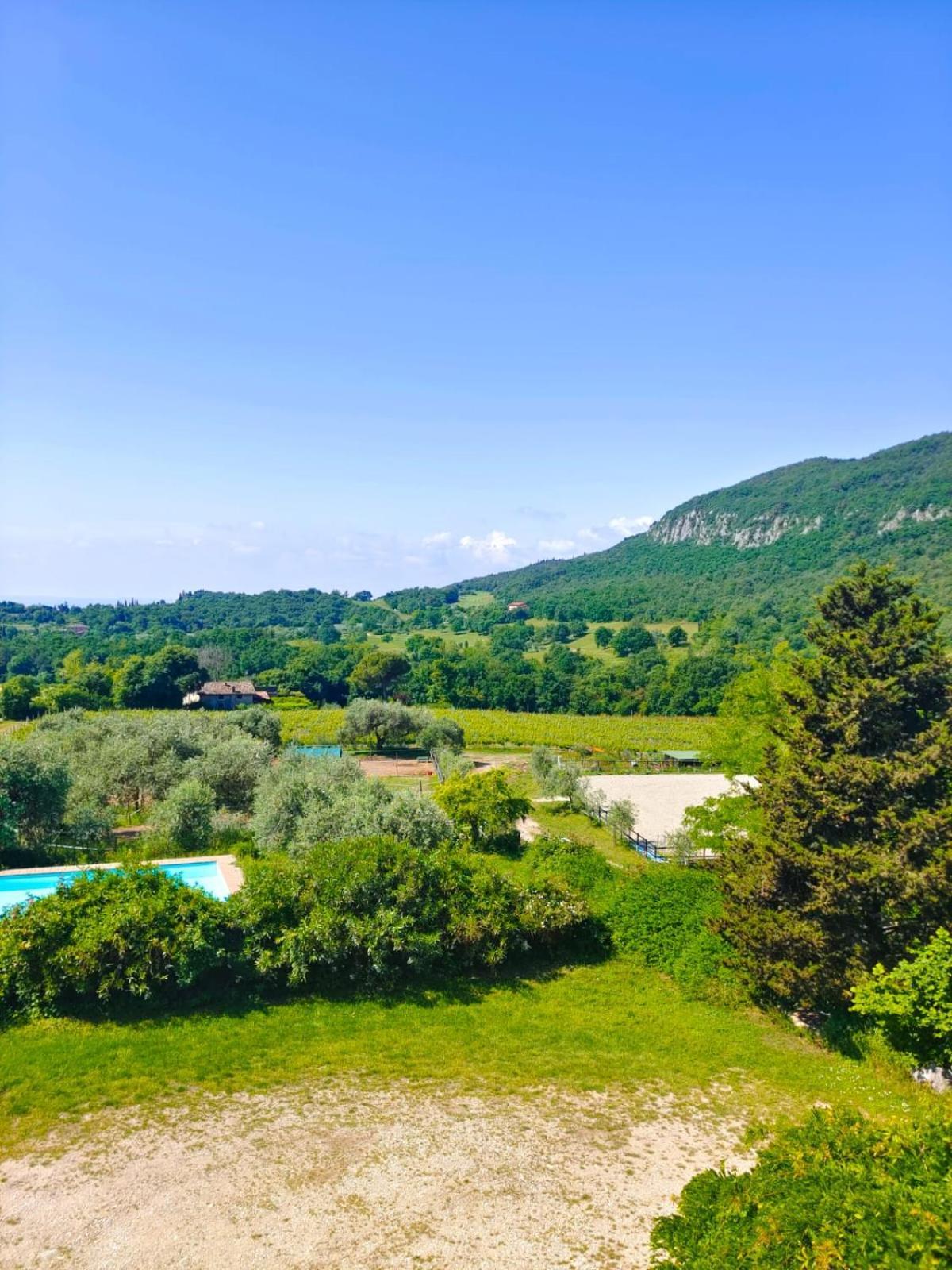 Il Rovero Apartamento Castion Veronese Exterior foto